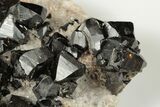 Lustrous Cassiterite Crystals On Quartz - Viloco Mine, Bolivia #192179-5